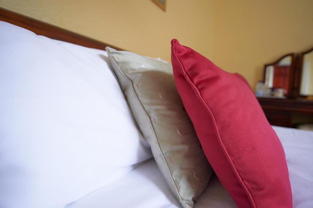 Hotel Buckley Arms Dinas Mawddwy Pokoj fotografie
