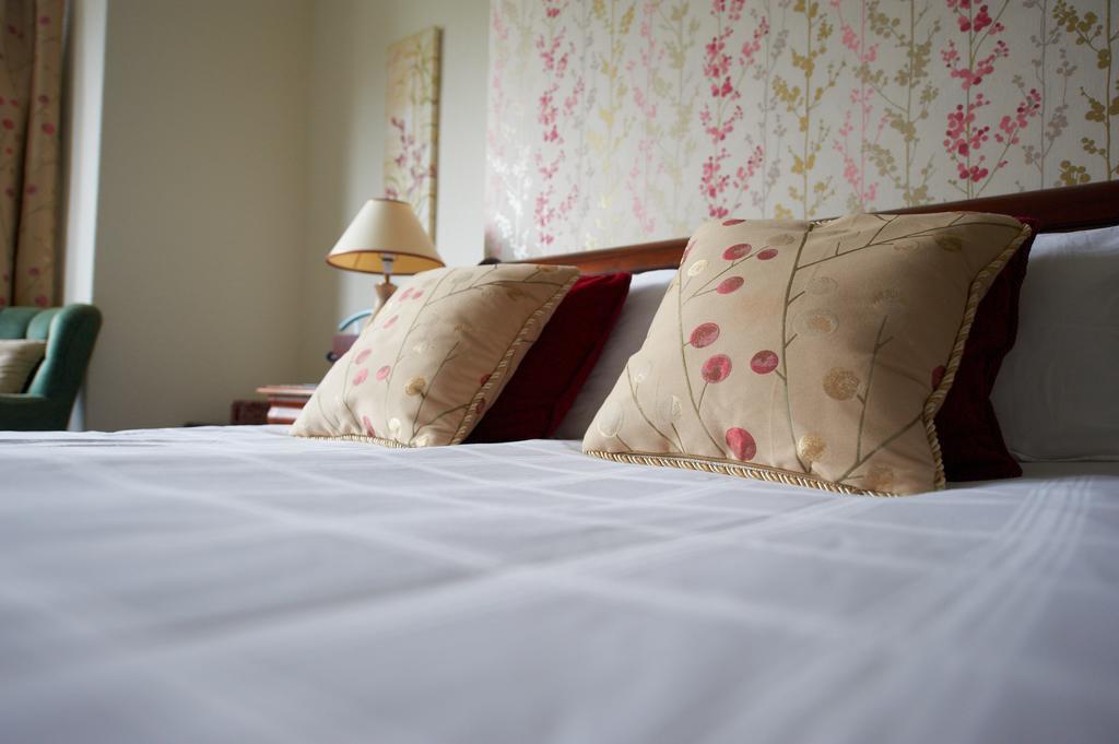 Hotel Buckley Arms Dinas Mawddwy Exteriér fotografie
